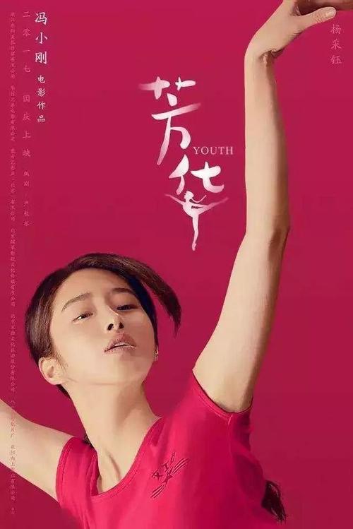 达姆施塔特工业大学市场开发文凭证书
